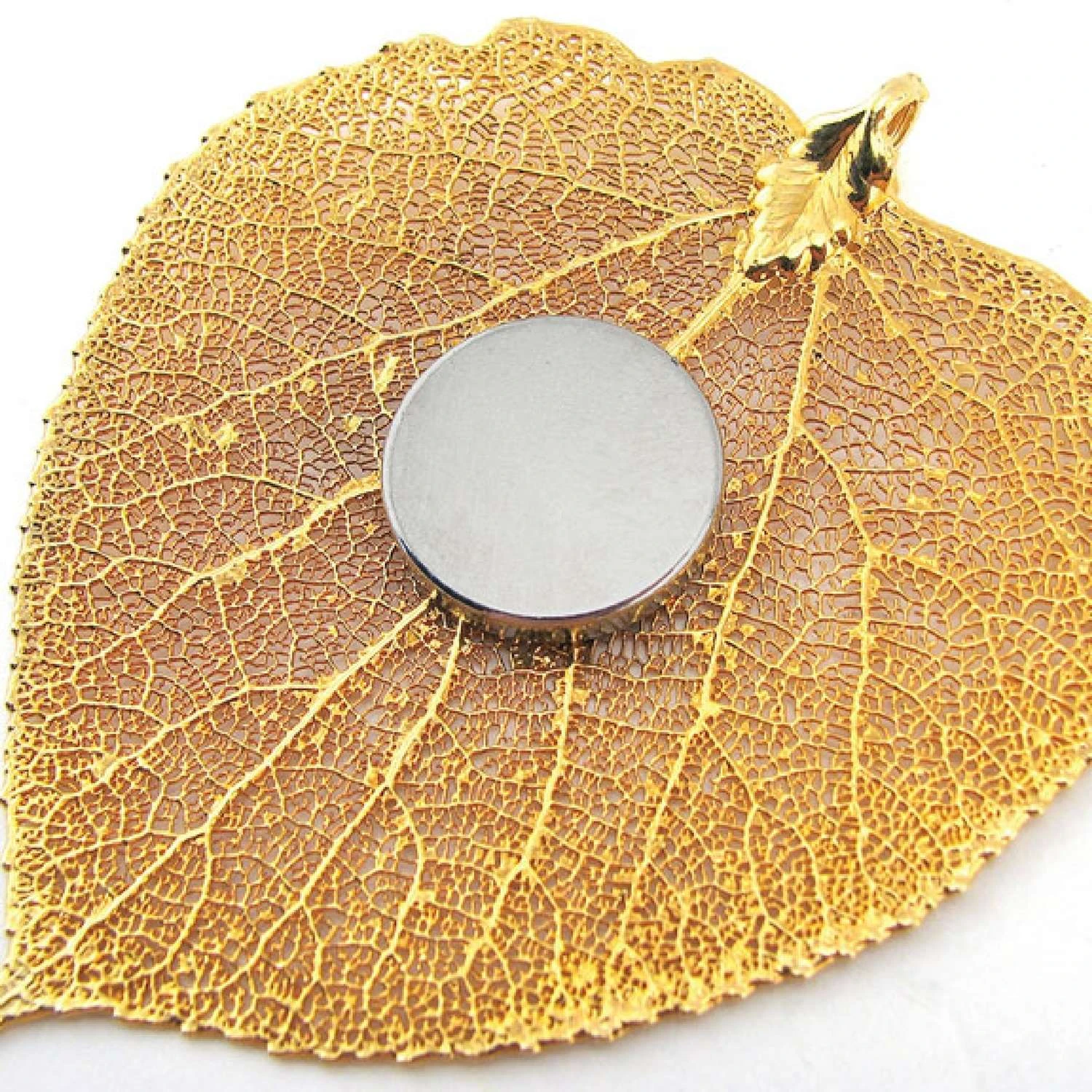 Magnet Source 0.375 In. L X 0.375 In. W Silver Disc Magnets With Adhesive 1.68 Lb. Pull 12 Pc 7 Magnet Source 0.375 In. L X 0.375 In. W Silver Disc Magnets With Adhesive 1.68 Lb. Pull 12 Pc - Image 5