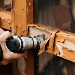 Imperial Blades Starlock 3-1/4 In. L High Carbon Steel Flexible Scraper Oscillating Saw Blade 1 Pk -DeWALT Outlet 44b99c4f f7ef 46e3 b45e f969c7511864