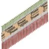 Paslode RounDrive 3 In. Angled Strip Hot-Dip Galvanized Framing Nails 30 Deg 2000 Pk -DeWALT Outlet a5984c06 2f20 4610 9559 a04d434eeeae