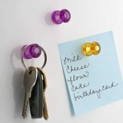 Magnet Source .625 In. L X .5 In. W Assorted Magnetic Push Pins 10 Pc -DeWALT Outlet f0e1425e cd68 4e1a 9a2e 28d1f208184a